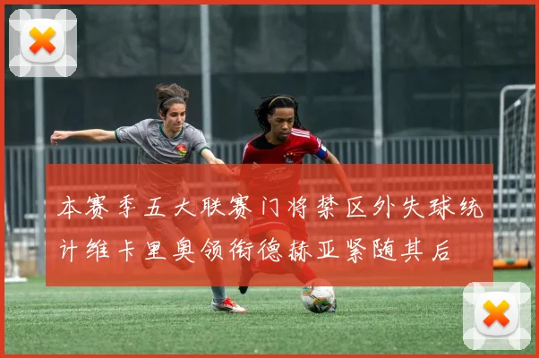 本赛季五大联赛门将禁区外失球统计维卡里奥领衔德赫亚紧随其后