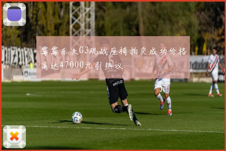 霉霉东决G3观战座椅拍卖成功价格高达47000元引热议